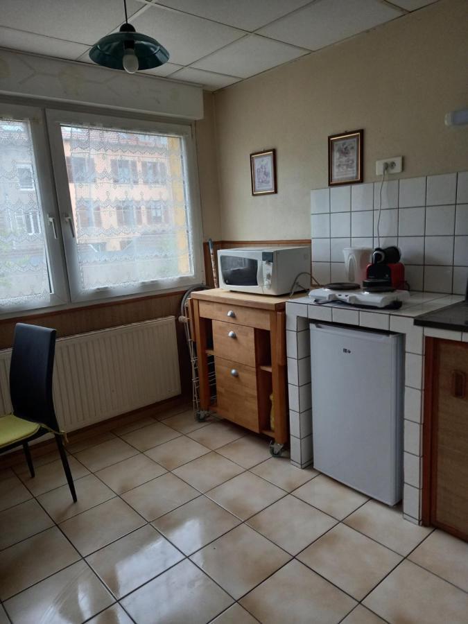 Les Appartements Du Lion De Belfort Exterior foto
