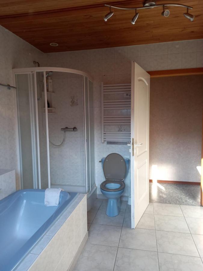 Les Appartements Du Lion De Belfort Exterior foto